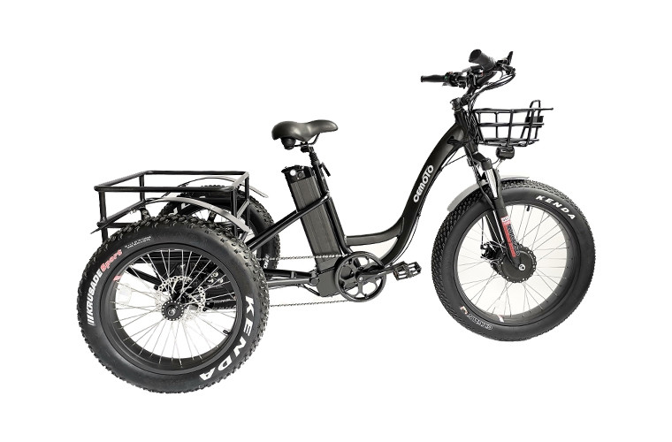 Cargo E Trike