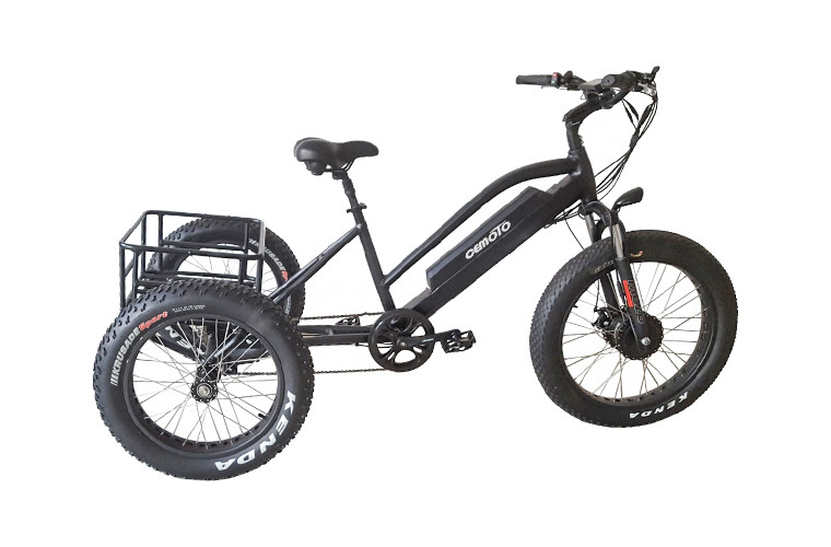 Cargo E Trike