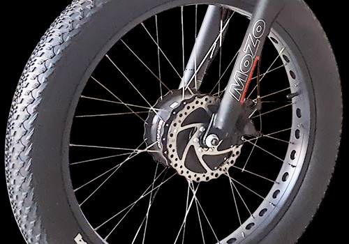 Cargo E Trike