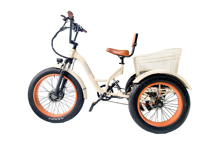 Cargo E Trike