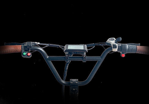 Cargo E Trike