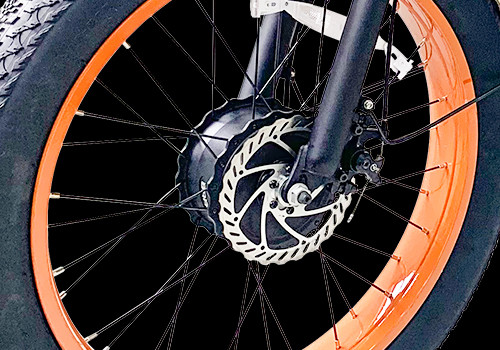 Cargo E Trike