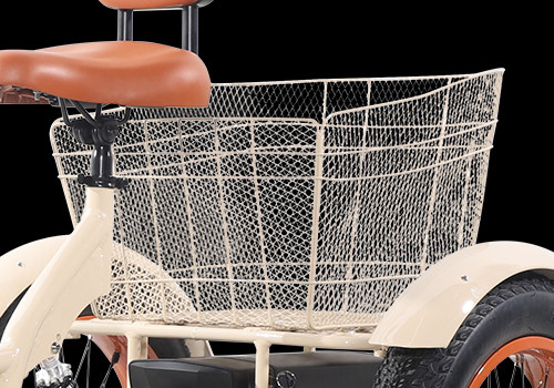 Cargo E Trike