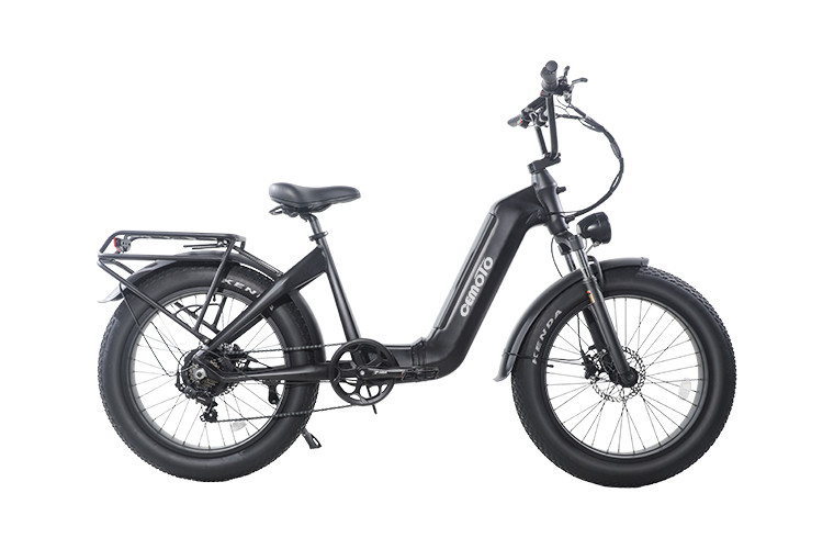 step through electric bike