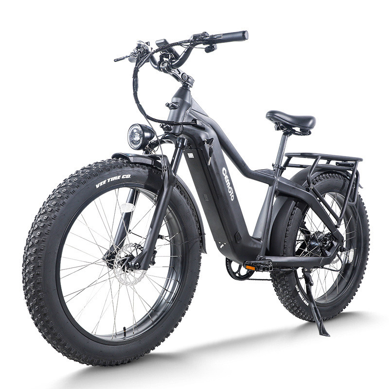 Fat Tire E Mountain bike