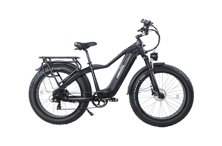 Fat Tire E Mountain bike