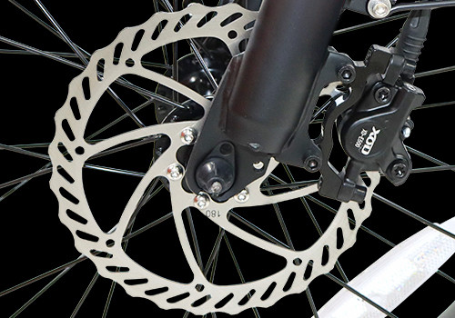 Fat Tire E Mountain bike