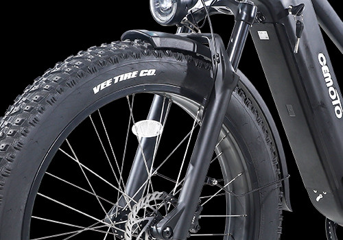 Fat Tire E Mountain bike