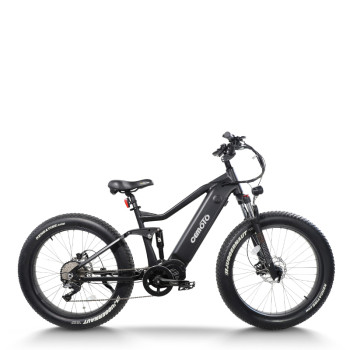 Fat Tire electric bike | 750W off road ebikes | mountain ebike AEB52AX