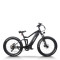Fat Tire electric bike | 750W off road ebikes | mountain ebike AEB52AX