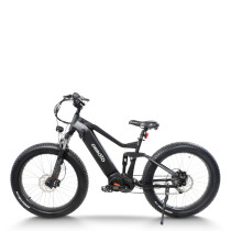 Fat Tire electric bike | 750W off road ebikes | mountain ebike AEB52AX
