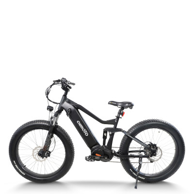 Fat Tire electric bike | 750W off road ebikes | mountain ebike AEB52AX