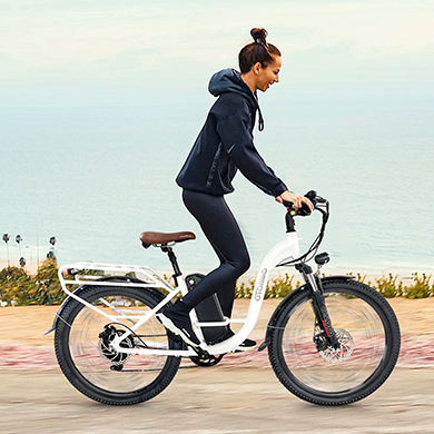 City E bikeS