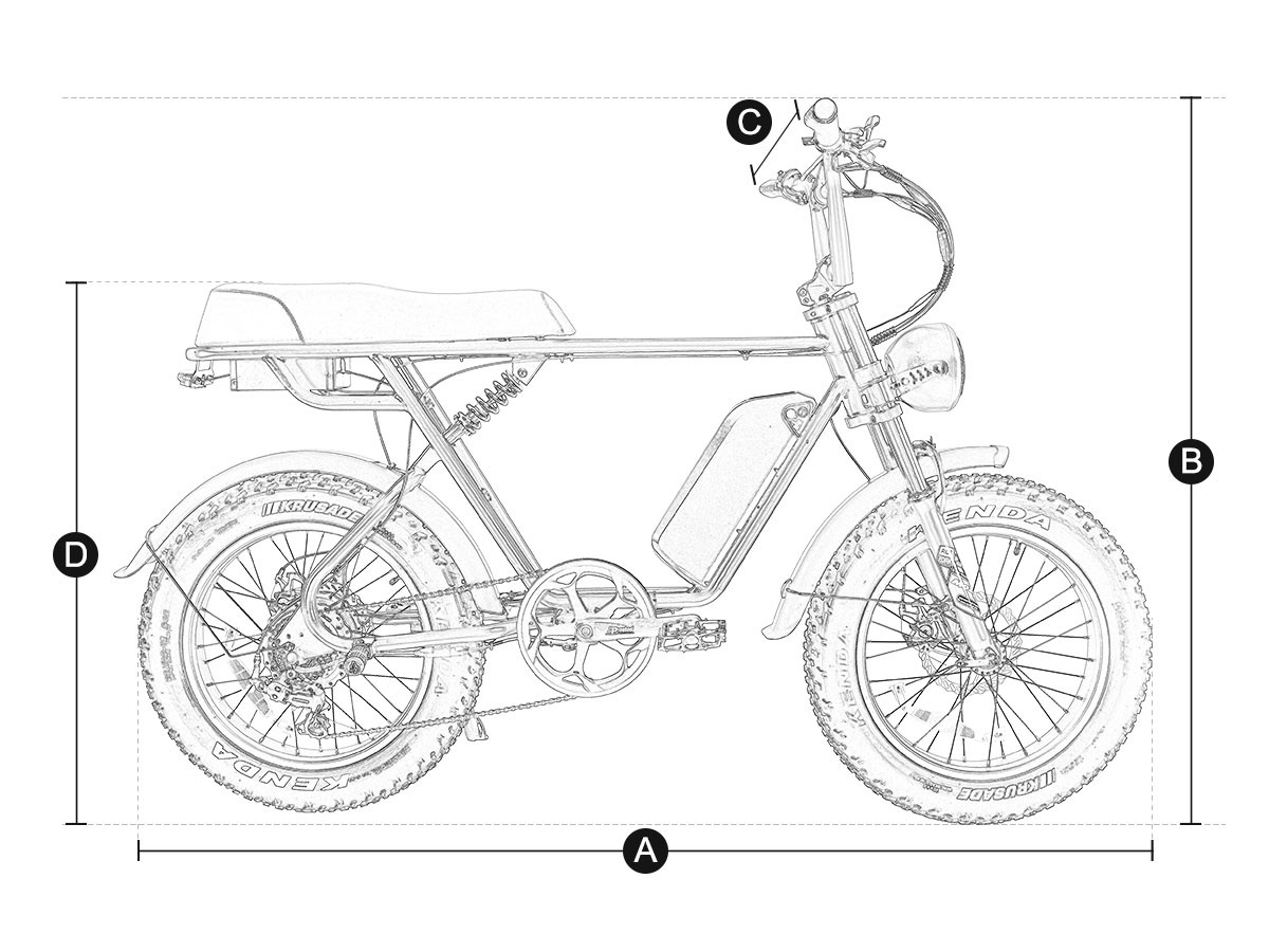 Fat Tire E Mouatin Bike AEB66