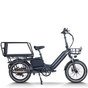 Commuter E-Bike | 750W urban E bike | Electric city Bike AEB69