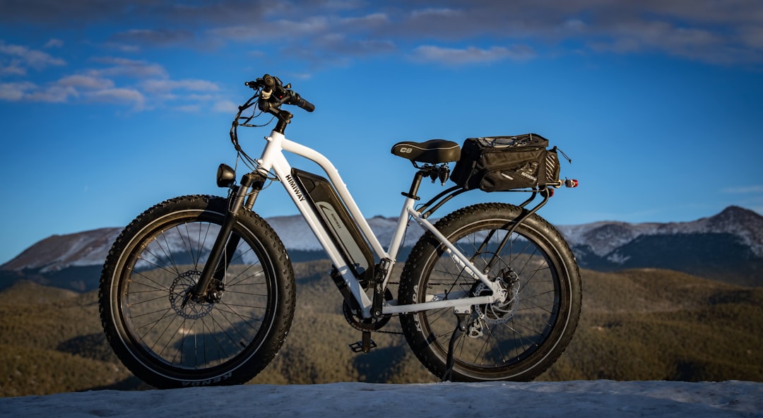 2025 Stark Varg EX electric enduro bike on a mountain trail