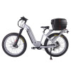 Fat Tire E Bike | 1000W All Terrain E Bike | E Mouatin Bike AEB53A