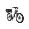 Fat Tire E Bike | 1000W All Terrain E Bike | E Mouatin Bike AEB53A