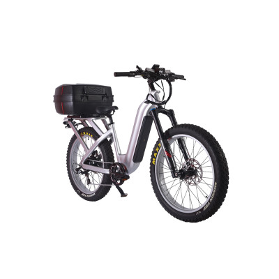 Fat Tire E Bike | 1000W All Terrain E Bike | E Mouatin Bike AEB53A