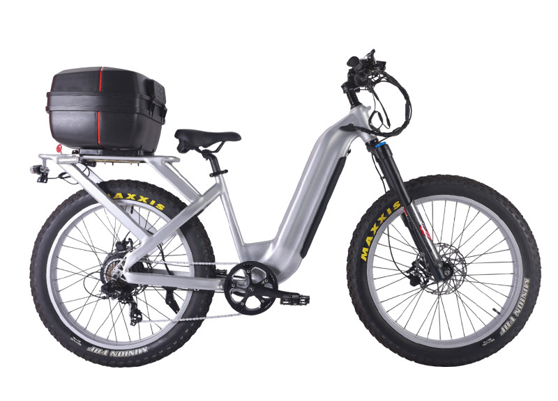 Fat Tire E Mouatin Bike