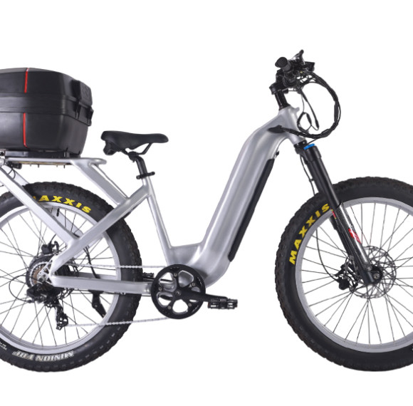 Fat Tire E Bike | 1000W All Terrain E Bike | E Mouatin Bike AEB53A