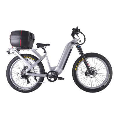 Fat Tire E Bike | 1000W All Terrain E Bike | E Mouatin Bike AEB53A
