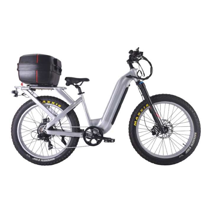 Fat Tire E Bike | 1000W All Terrain E Bike | E Mouatin Bike AEB53A