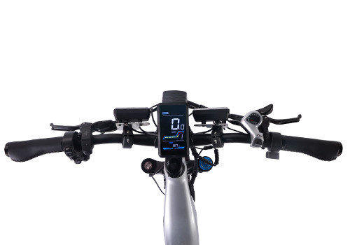 Fat Tire E Mouatin Bike