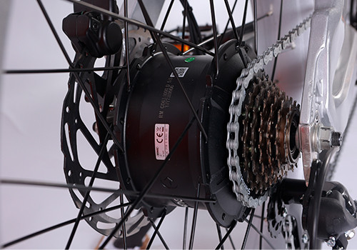 Fat Tire E Mouatin Bike