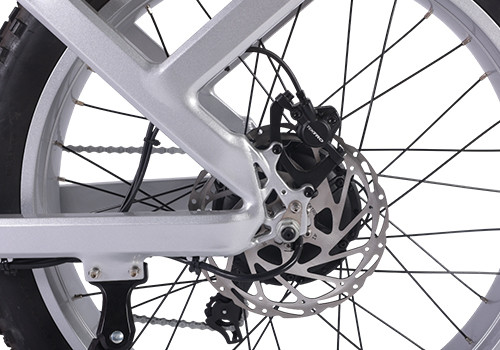 Fat Tire E Mouatin Bike