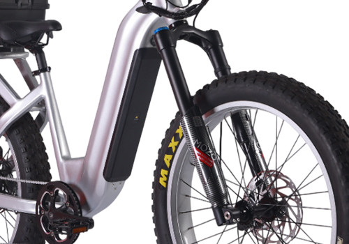 Fat Tire E Mouatin Bike