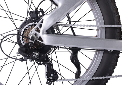 Fat Tire E Mouatin Bike