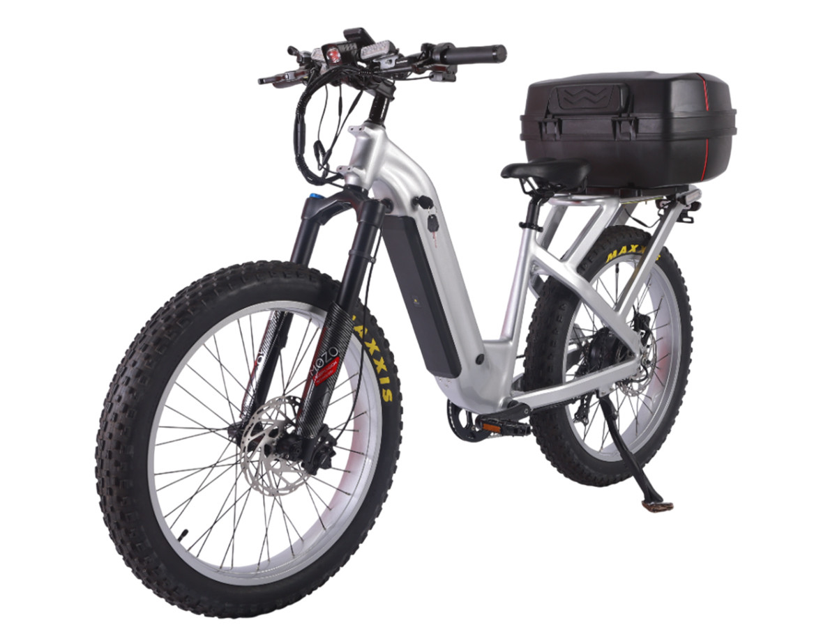 Fat Tire E Mouatin Bike