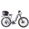 Fat Tire E Bike | 1000W All Terrain E Bike | E Mouatin Bike AEB53A
