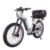 Fat Tire E Bike | 1000W All Terrain E Bike | E Mouatin Bike AEB53A