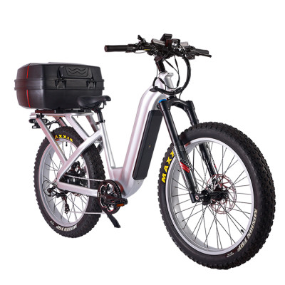 Fat Tire E Bike | 1000W All Terrain E Bike | E Mouatin Bike AEB53A