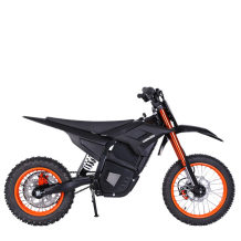 Professional OEM/ODM Electric Dirt Bikes D02 | High-Volume Production