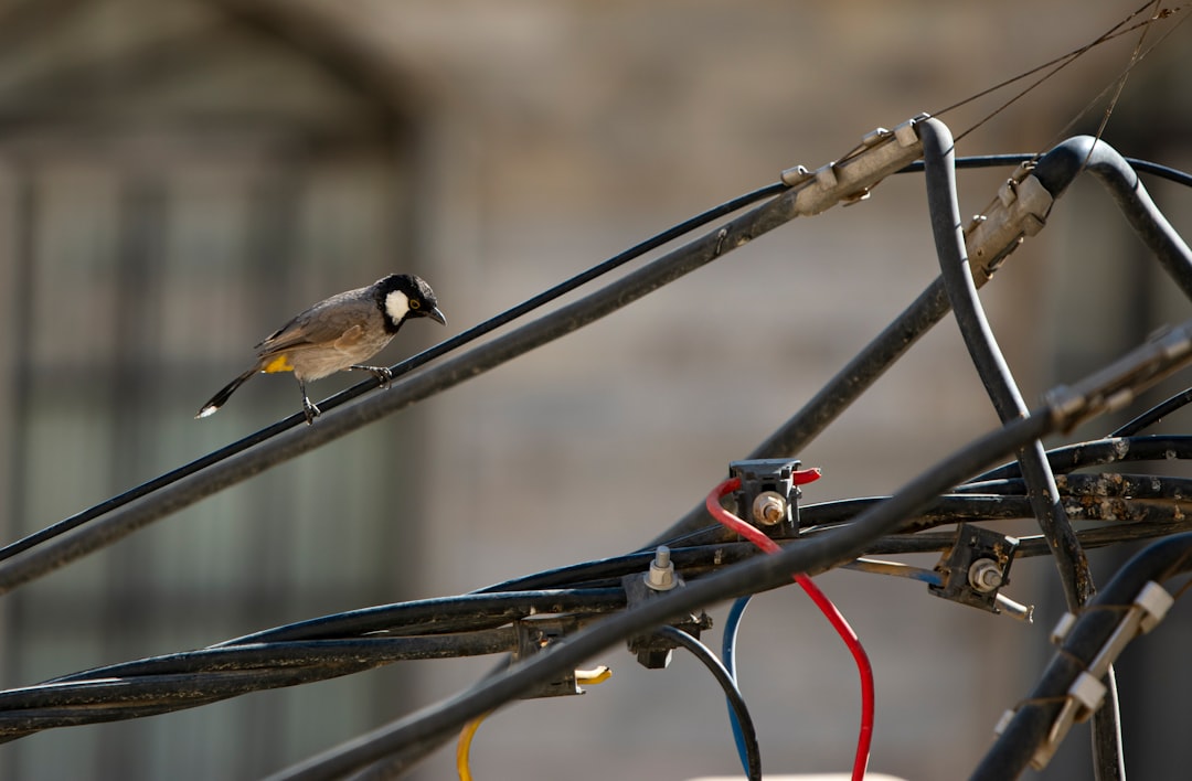 An e-bike undergoing a final quality control inspection