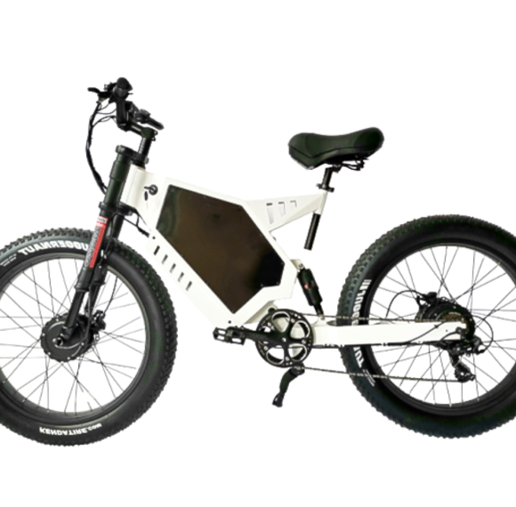 Dual Motor Fat Tire E-bike 48V 20Ah-40Ah Battery Shimano 7-Speed 30mph Max 100km Range OEM/ODM