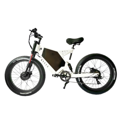 Dual Motor Fat Tire E-bike 48V 20Ah-40Ah Battery Shimano 7-Speed 30mph Max 100km Range OEM/ODM