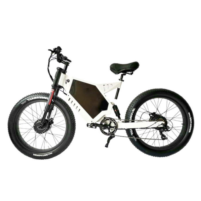 Dual Motor Fat Tire E-bike 48V 20Ah-40Ah Battery Shimano 7-Speed 30mph Max 100km Range OEM/ODM