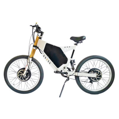 Dual Motor & Full Suspension 500W*2 BLDC 48V mountain e-bike OEM B2B Wholesale