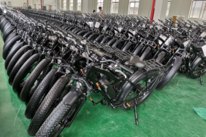 How to Choose the Right E-Bike Supplier?