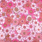 Nylon Racking Mesh, nylon plain 4-way stretch soft, multicolor printed fabric in stock.