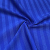 Shiny & Semi-Dull Interlaced Nylon Spandex Fabric – 180 GSM, 60" Width