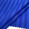 Shiny & Semi-Dull Interlaced Nylon Spandex Fabric – 180 GSM, 60" Width