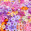 Floral Designers High Stretch Nylon Rib Textured Knit 4 Way Stretch Spandex Custom Printing Fabric for Sportswear Dress Swimwear Fabrics