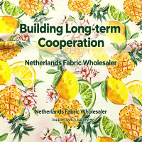 Building Long-term Cooperation: A Netherlands Fabric Wholesaler’s Supplier Switch Journey