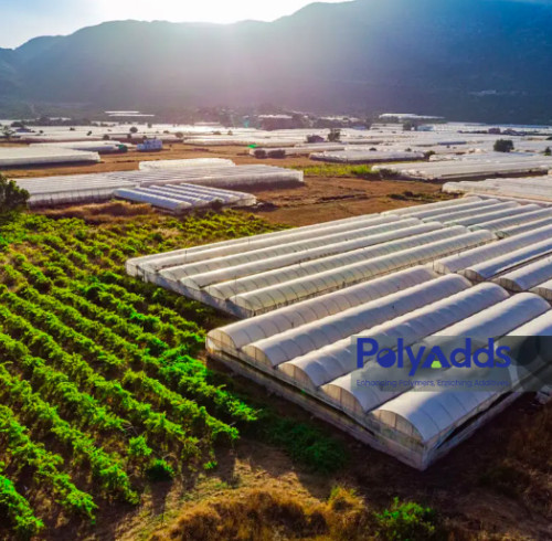 Maximize Greenhouse Efficiency: The Ultimate Guide to Long-Lasting, UV-Resistant Films
