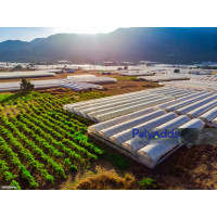 Maximize Greenhouse Efficiency: The Ultimate Guide to Long-Lasting, UV-Resistant Films